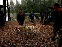 Zavírání Bartoňky